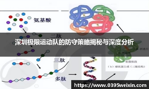 深圳极限运动队的防守策略揭秘与深度分析