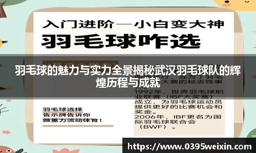 羽毛球的魅力与实力全景揭秘武汉羽毛球队的辉煌历程与成就