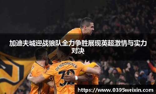 加迪夫城迎战狼队全力争胜展现英超激情与实力对决