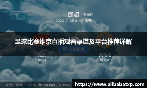 U8国际平台